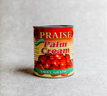 Praise Palmcream 400g